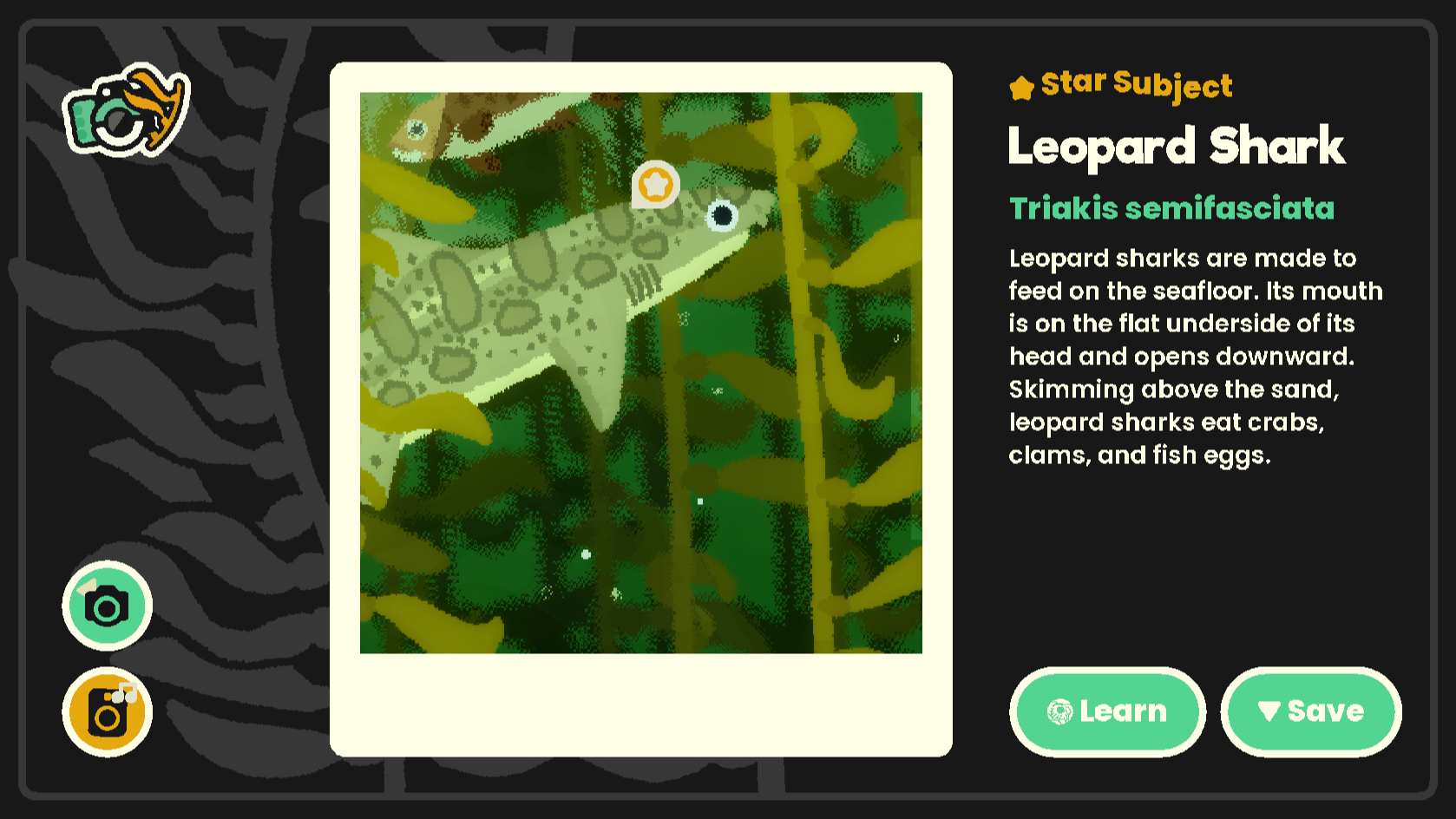 Final Info Screen